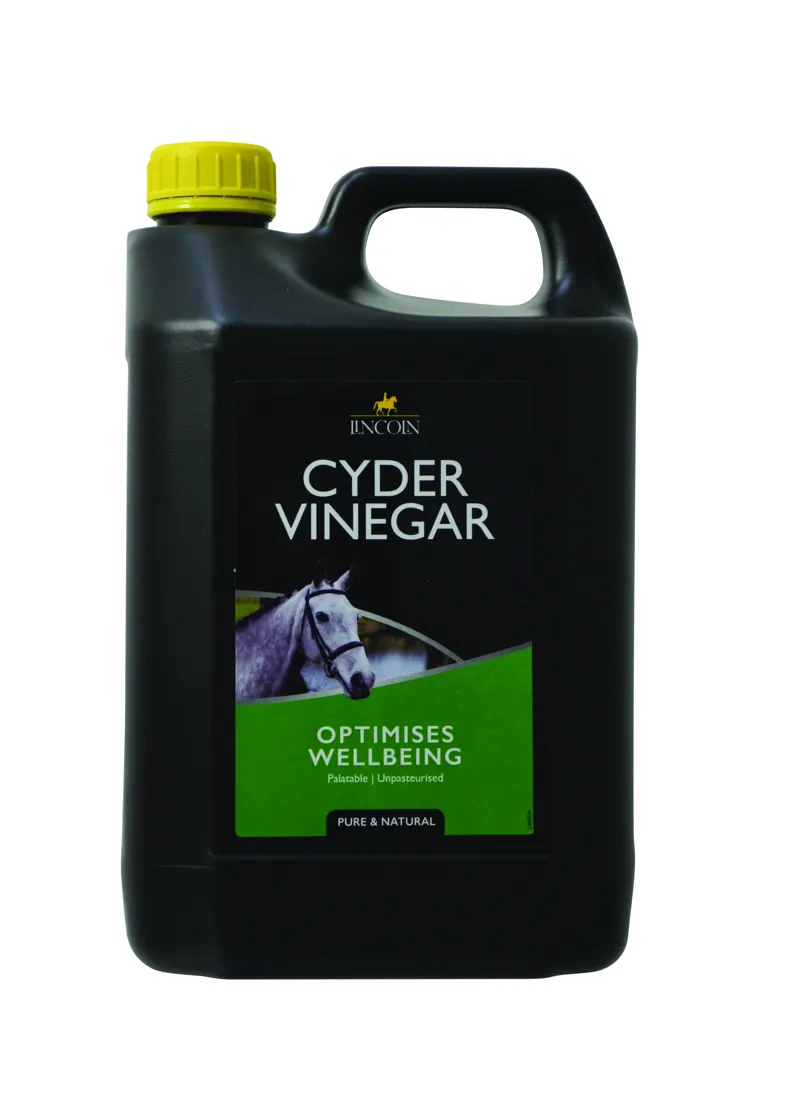 Lincoln Cyder Vinegar-1